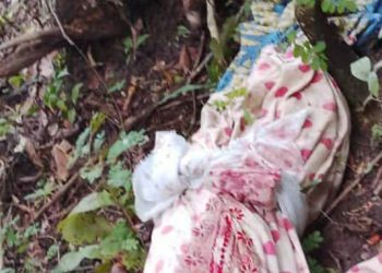 Tragédie à Dabiss : Un Maître Coranique Découpe sa Belle-Mère sous le Coup de la Sorcellerie