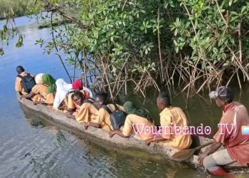 Boffa : Le quotidien pathétique des élèves du collège de Tougnifily contraints de traverser un bras de mer en pirogue pour aller à l’école
