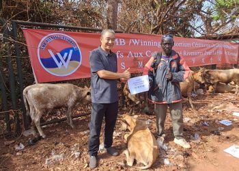 Ramadan : le Consortium SMB-Winning fidèle à sa tradition de solidarité, distribue 260 bœufs à 280 villages de Boké et Télimélé